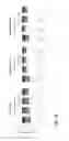 Fig. 34 - Method of treating triple-negative breast cancer using thienotriazolodiazepine compounds