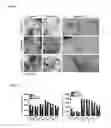 Fig. 08 - Compositions and methods to treat vision disorders