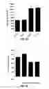 Fig. 07 - Non-reducing end unsaturated mannuronic acid oligosaccharides and compositions containing same as active ingredient