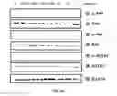 Fig. 08 - Non-reducing end unsaturated mannuronic acid oligosaccharides and compositions containing same as active ingredient