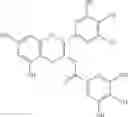 Fig. 08 - Mesenchymal stem cells with enhanced immunosuppressive capability