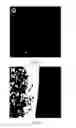 Fig. 15 - Method of stem cell delivery into the brain during chronic disease using blood brain barrier permeabilizers