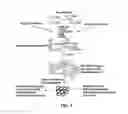 Fig. 04 - Phosphodiesterase Inhibiting Phytochemical Compositions