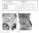 Fig. 03 - SUBSTANCE AND METHOD FOR TREATING INFLUENZA