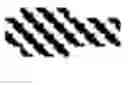 Fig. 04 - Composition comprising peptides made by strains