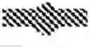 Fig. 09 - Composition comprising peptides made by strains