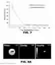 Fig. 11 - Antithrombotic nanoparticle