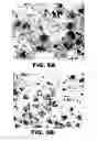 Fig. 13 - Antithrombotic nanoparticle