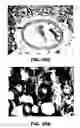 Fig. 56 - Antithrombotic nanoparticle