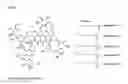 Fig. 02 - METHODS FOR PRODUCING AN ORALSUSPENSION OF TEICHOPLANIN OR TEICHOPLANIN ANALOGS