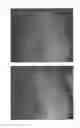 Fig. 37 - Method for treating alopecia with B-type natriuretic peptide