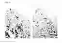 Fig. 16 - Use of CGRP antagonist compounds for treatment of psoriasis
