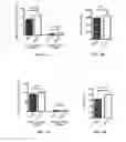 Fig. 02 - SERCA2 THERAPEUTIC COMPOSITIONS AND METHODS OF USE