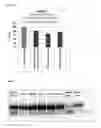 Fig. 05 - Peptide vaccines against PCSK9