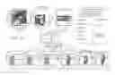 Fig. 13 - Tscm CELLS AND METHODS FOR USE