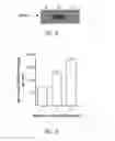 Fig. 08 - Breast cancer vaccines and methods of use thereof