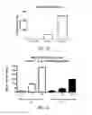 Fig. 09 - Breast cancer vaccines and methods of use thereof