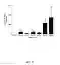 Fig. 06 - HPV vaccines and methods of use thereof