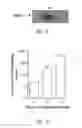 Fig. 08 - HPV vaccines and methods of use thereof