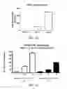 Fig. 09 - HPV vaccines and methods of use thereof