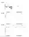 Fig. 18 - COMPOSITIONS, METHODS AND USES FOR THERMALLY STABLE HUMAN PAPILLOMAVIRUS FORMULATIONS