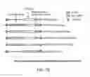 Fig. 10 - Lysosomal targeting of antigens employing nucleic acids encoding lysosomal membrane polypeptide/antigen chimeras