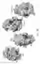 Fig. 21 - Compositions and methods for delivering agents to the central nervous system