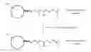 Fig. 01 - Functionalization of nanoparticles with polythioaminal thiol-containing polymers