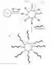 Fig. 03 - Functionalization of nanoparticles with polythioaminal thiol-containing polymers