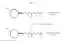 Fig. 05 - Functionalization of nanoparticles with polythioaminal thiol-containing polymers