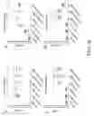 Fig. 19 - THYROID STIMULATING HORMONE COMPOSITIONS