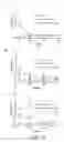 Fig. 20 - THYROID STIMULATING HORMONE COMPOSITIONS
