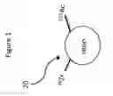 Fig. 02 - Method, Apparatus, and System for Radiation Therapy