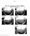 Fig. 07 - Compositions and methods for multipurpose disinfection and sterilization solutions