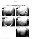 Fig. 08 - Compositions and methods for multipurpose disinfection and sterilization solutions