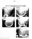 Fig. 10 - Compositions and methods for multipurpose disinfection and sterilization solutions