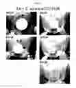 Fig. 11 - Compositions and methods for multipurpose disinfection and sterilization solutions