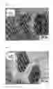 Fig. 03 - HIGH STRENGTH SYNTHETIC BONE FOR BONE REPLACEMENT FOR INCREASING OMPRESSIVE STRENGTH AND FACILITATING BLOOD CIRCULATION, AND MANUFACTURING METHOD THEREFOR