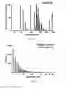 Fig. 02 - Methacrylated devitalized cartilage and devitalized cartilage particles