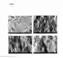 Fig. 05 - SURFACE MODIFICATION METHOD AND STRUCTURE FOR IMPROVING HEMOCOMPATIBILITY OF BIOMEDICAL METALLIC SUBSTRATES