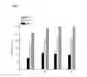 Fig. 08 - SURFACE MODIFICATION METHOD AND STRUCTURE FOR IMPROVING HEMOCOMPATIBILITY OF BIOMEDICAL METALLIC SUBSTRATES