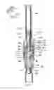 Fig. 02 - PISTON CLOSURES FOR DRUG DELIVERY CAPSULES