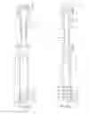Fig. 07 - Luer connection adapters for retractable needle syringes