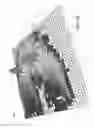 Fig. 20 - Sealing force detection enabled, therapeutic fluid delivery device