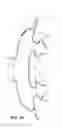 Fig. 19 - Patient interface systems