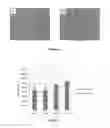 Fig. 03 - Microneedle based cell delivery