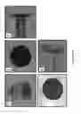 Fig. 09 - Microneedle based cell delivery