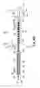 Fig. 09 - Catheter and catheter system for electrical neuromodulation