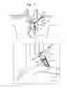Fig. 02 - Annular antenna