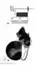 Fig. 12 - Autofocus wireless power transfer to implantable devices in freely moving animals